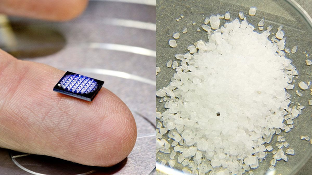 左图：搭载了两个微型电脑的64主板 右图：搭载在主板上的微型电脑在一堆盐粒中