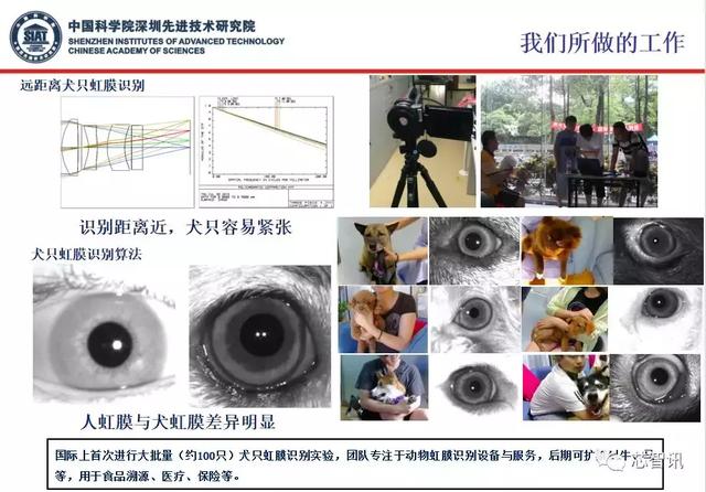 虹膜识别技术的挑战与未来：远距离识别，动物虹膜识别或是新方向